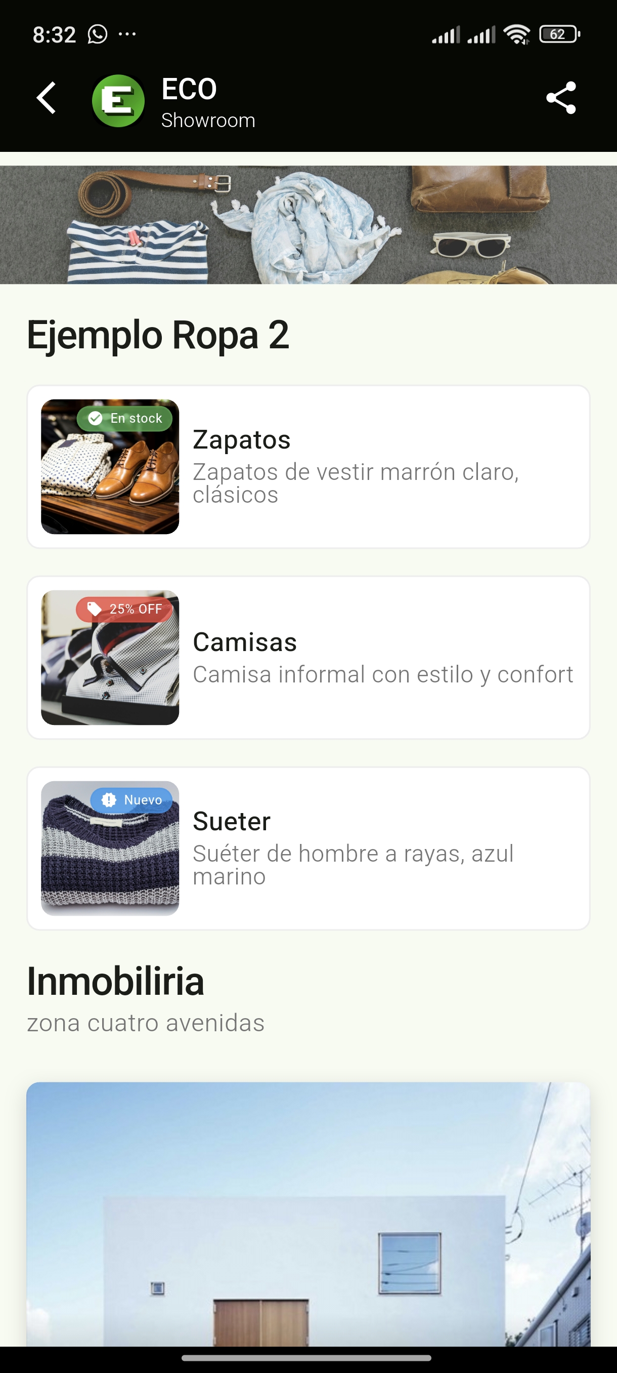 Portfolio Profesional